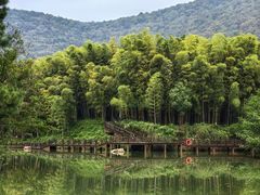 -宝岩生态观光园