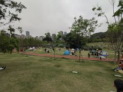 -牛岗山公园