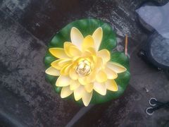 -湘裕楼(大观南路总店)