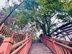 -大渡口区义渡公园