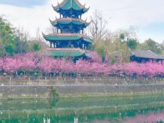 -望江楼公园