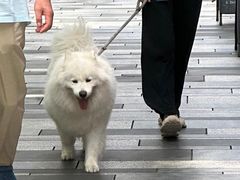 -Luneurs(幸福里店)