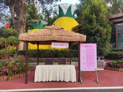 -东南花都花博园