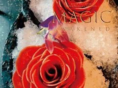 -哥老官重庆美蛙鱼头(宝山龙湖店)