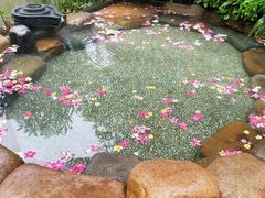 -厦门日月谷温泉渡假村