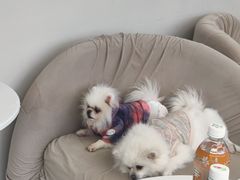 -怪兽屋·羊驼·猫咖·狗咖(俊华广场店)