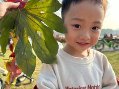 -昆山城市生态森林公园