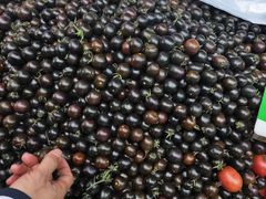 -荣泰市场(二马路店)