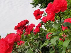 -无锡市市民中心