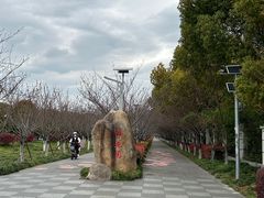 -高东镇樱花园