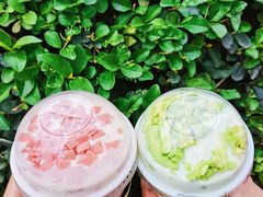 -茉酸奶(春熙路店)