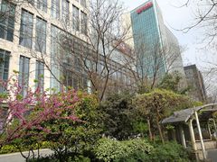 -上海市平和双语学校