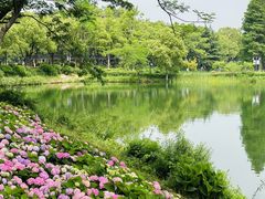 -金银湖国家城市湿地公园
