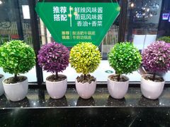 -龍歌自助小火锅(崂山丽达店)