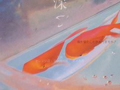 -海合安武汉极地海洋公园