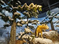 -陕西自然博物馆