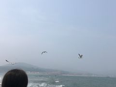 -兴旺渔家