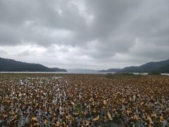 -东钱湖旅游度假区