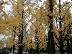 -两江幸福广场