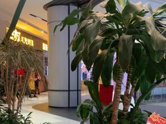 -烹然四季椰子鸡火锅(姚家园万象汇店)