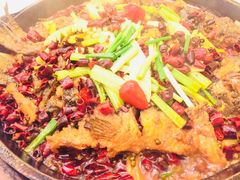 -老板恋上鱼(恒隆广场店)