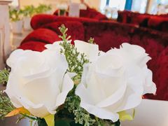 -名流健康高端体检中心·名宾门诊·健康管理