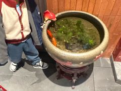 -锦庐道地川菜(来福士店)