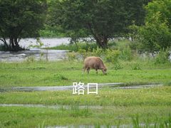-西溪南古村落景区