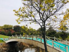 -北京京辉高尔夫俱乐部有限公司