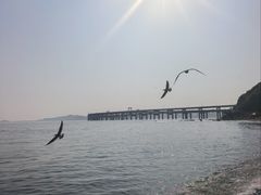 -银沙滩浴场