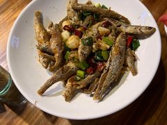 -印象鲵宴·张家界地标美食名片(溪布街店)