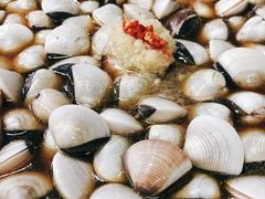 -顺德哥卜卜贝(旗舰店)