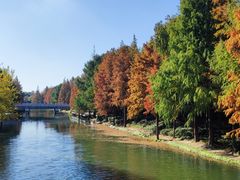 -七宝老街-停车场