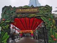 -上海大自然野生昆虫馆(东方明珠·爬宠昆虫探索中心)