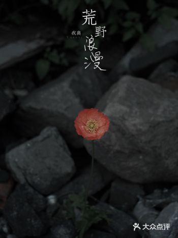 开年最火荒野公园展｜血色浪漫花园墓地