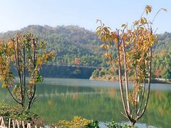 -石燕湖生态旅游景区
