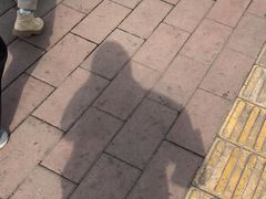 -1点点(阳光城店)