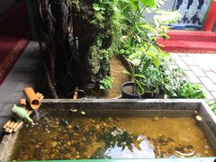 -北京阅微庄四合院文化特色酒店