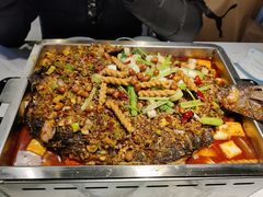 -京城·森鸽排档(双井店)