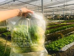 -Ohkajhu Organic Farm Sansai