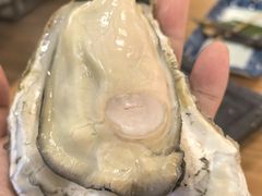 -菊上日式料理(蚌埠银泰店)