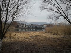 -长广溪湿地公园
