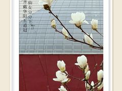 -国家大剧院