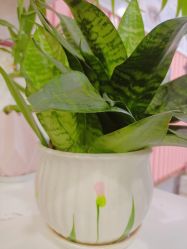 -灰姑娘美甲美睫馆