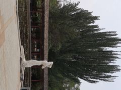 -满都海公园