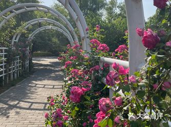北京植物园 门票五块钱，便宜哭了