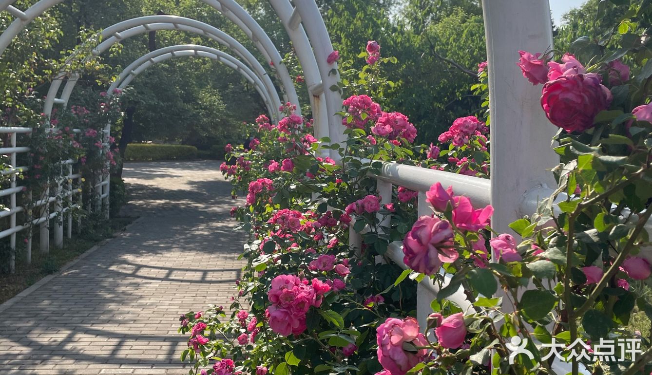 北京植物园 门票五块钱，便宜哭了