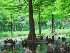 -南京市无想山景区