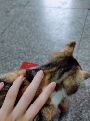 -POINT服务季·点睛创意美甲沙龙