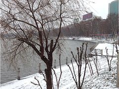 -甘棠公园